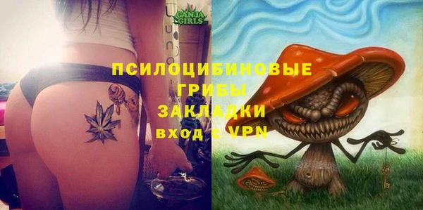 ешки Верхний Тагил